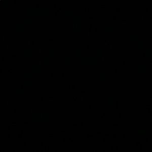 Meet your Posher, Laney